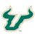 USF Bulls